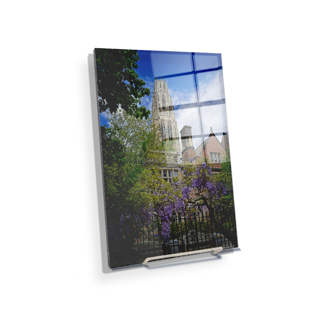 Yale Bulldogs - Springtime Harkness Tower - College Wall Art #Acrylic Mini