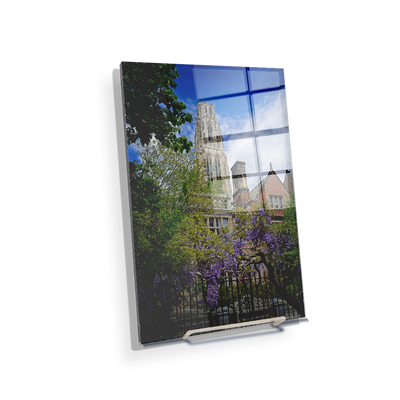 Yale Bulldogs - Springtime Harkness Tower - College Wall Art #Acrylic Mini