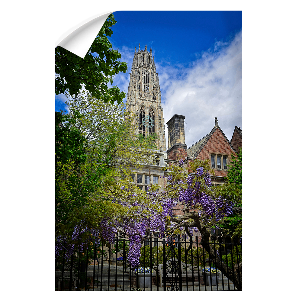 Yale Bulldogs - Springtime Harkness Tower - College Wall Art #Wall Decal