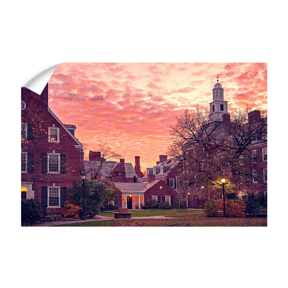 Yale Bulldogs - Campus Sunset #Wall Decal