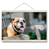 Yale Bulldogs - Handsome Dan Chill'in #Hanging Canvas