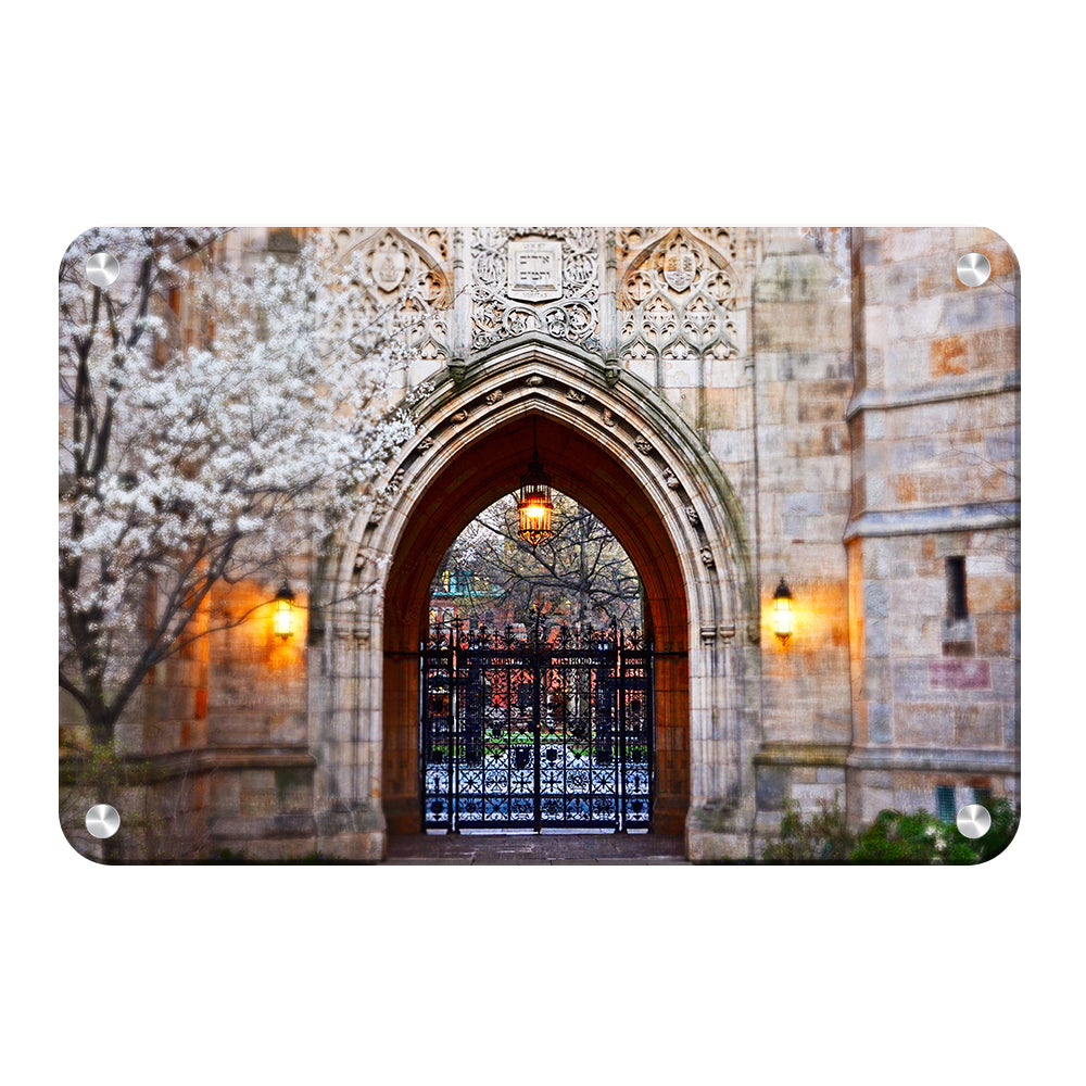 Yale Bulldogs - Harkness Memorial Gate - College Wall Art #Metal