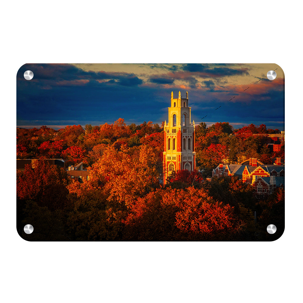 Yale Bulldogs - Fall Franklin Tower #Metal