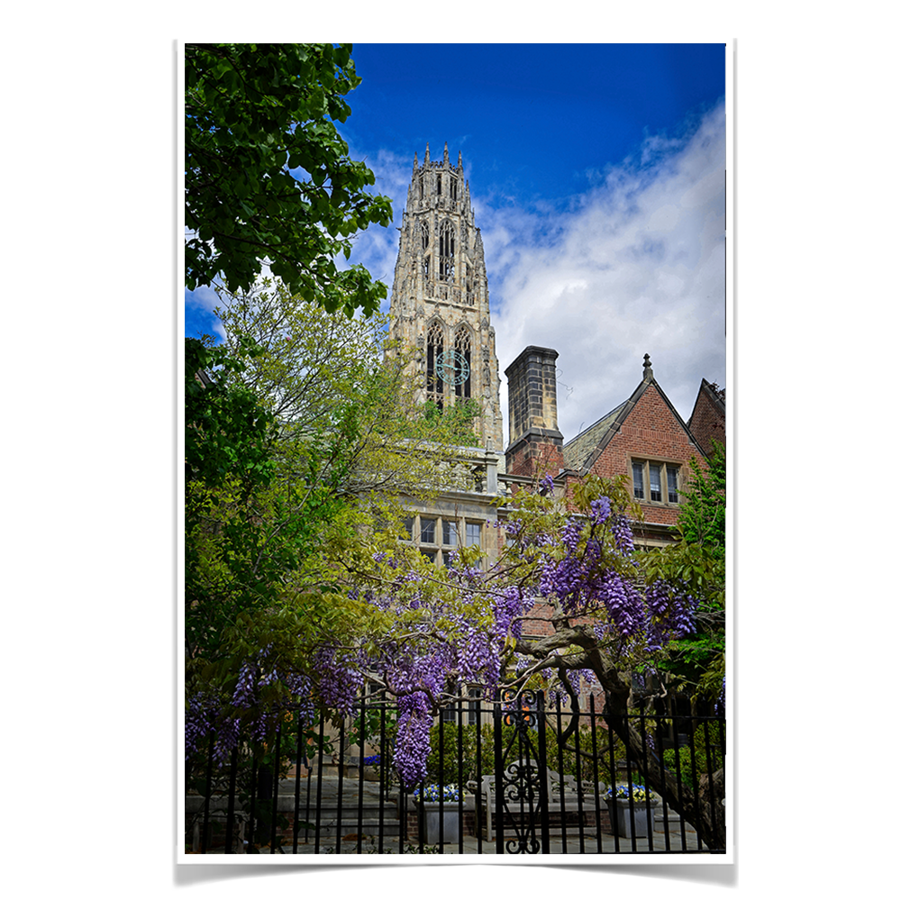 Yale Bulldogs - Springtime Harkness Tower - College Wall Art #Poster