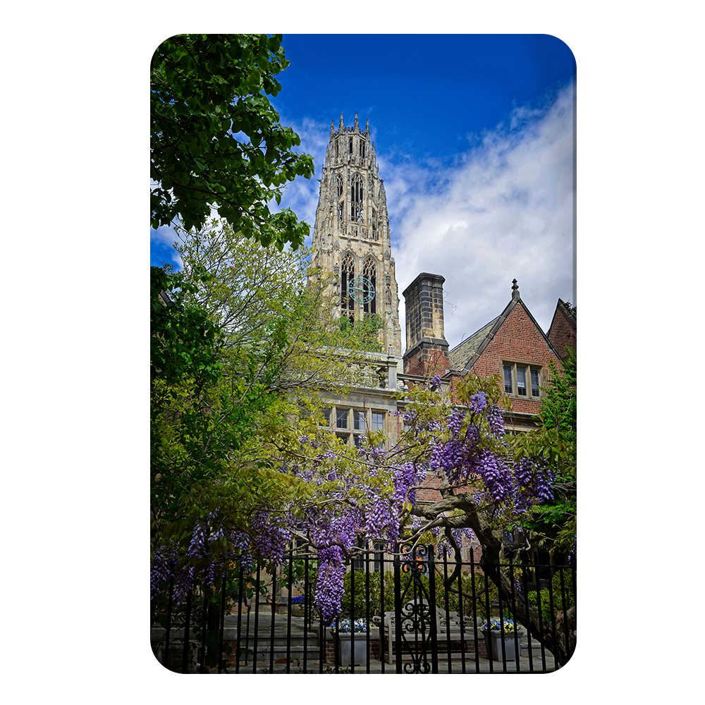 Yale Bulldogs - Springtime Harkness Tower - College Wall Art #PVC