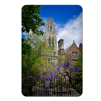 Yale Bulldogs - Springtime Harkness Tower - College Wall Art #PVC
