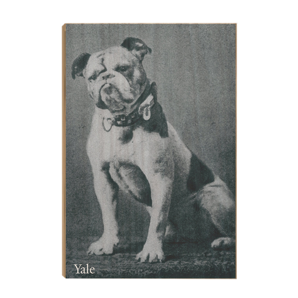 Yale Bulldogs - Vintage 1889 Handsome Dan -College Wall Art #Wood