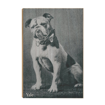 Yale Bulldogs - Vintage 1889 Handsome Dan -College Wall Art #Wood