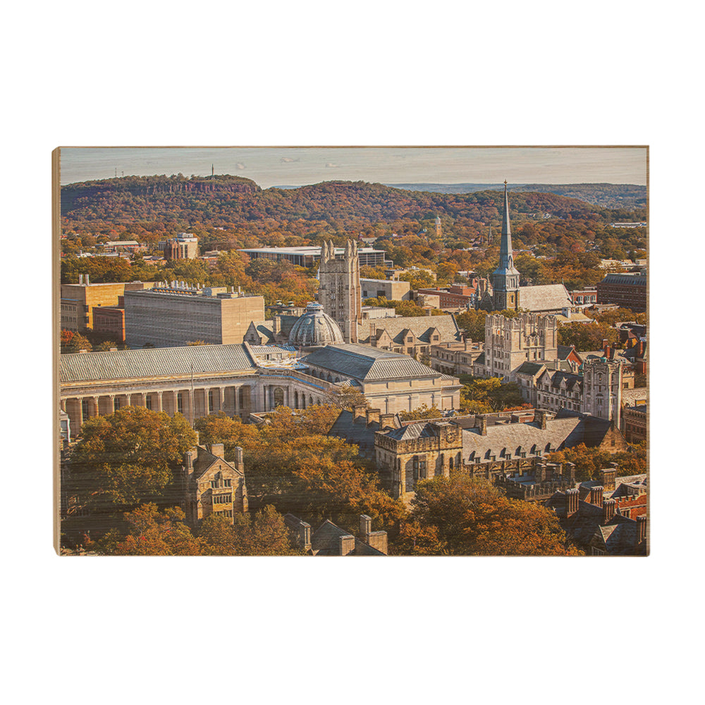 Yale Bulldogs - Yale Autumn Aerial #Wood
