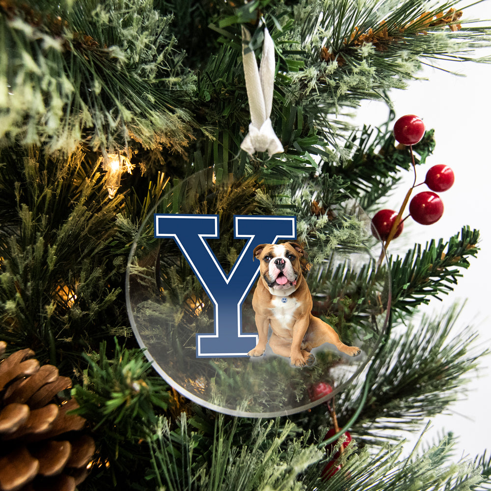 Yale Bulldogs - Yale Handsome Dan Bag Tag & Ornament