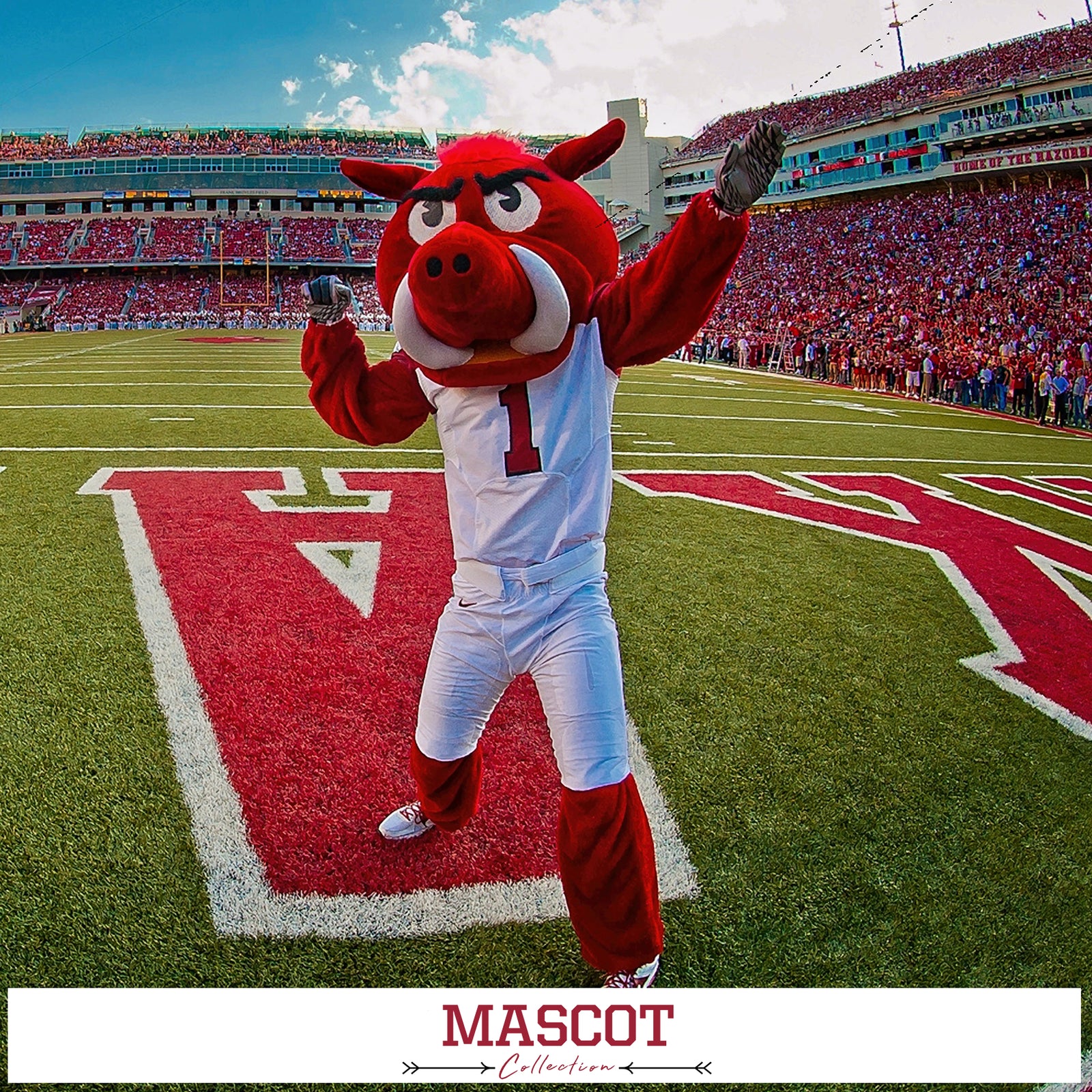 ARKANSAS RAZORBACKS - MASCOT