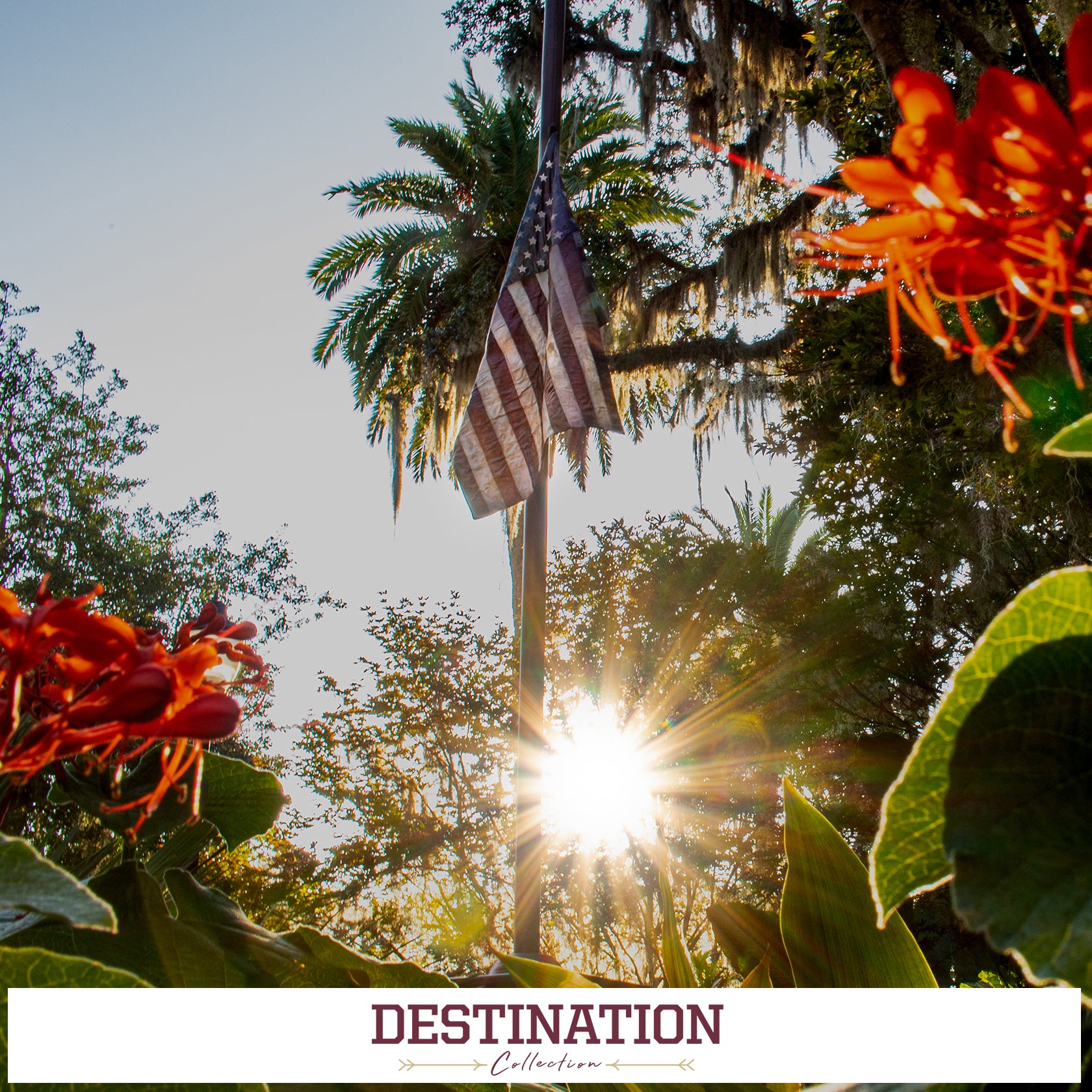 FSU Seminoles - Destination