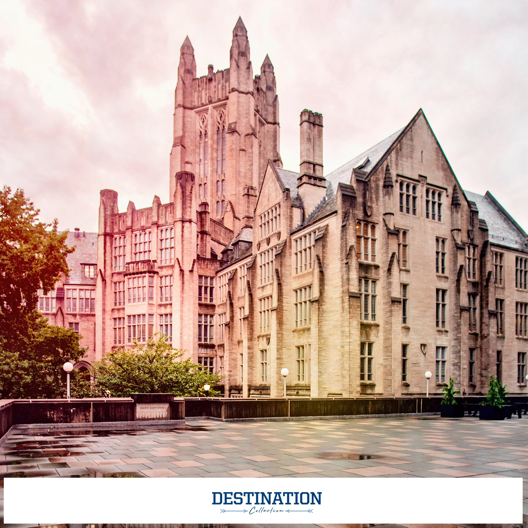 Yale Bulldogs - Destination