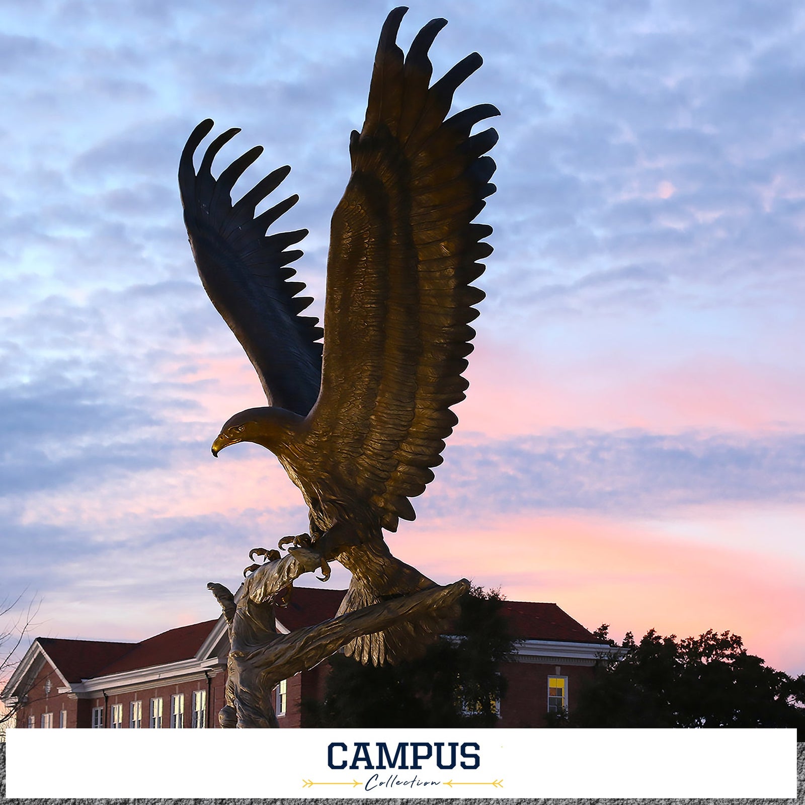 Southern Miss Golden Eagles - Campus  Collection