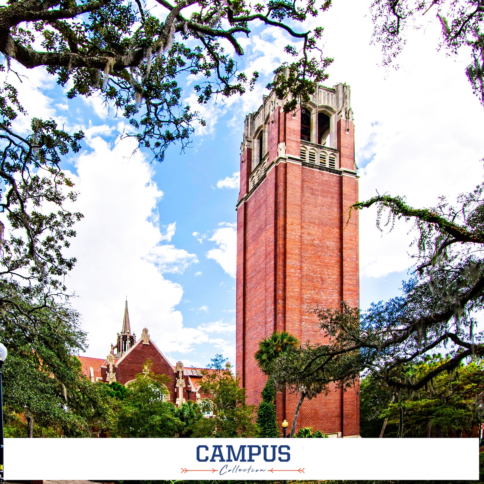 FLORIDA GATORS - CAMPUS