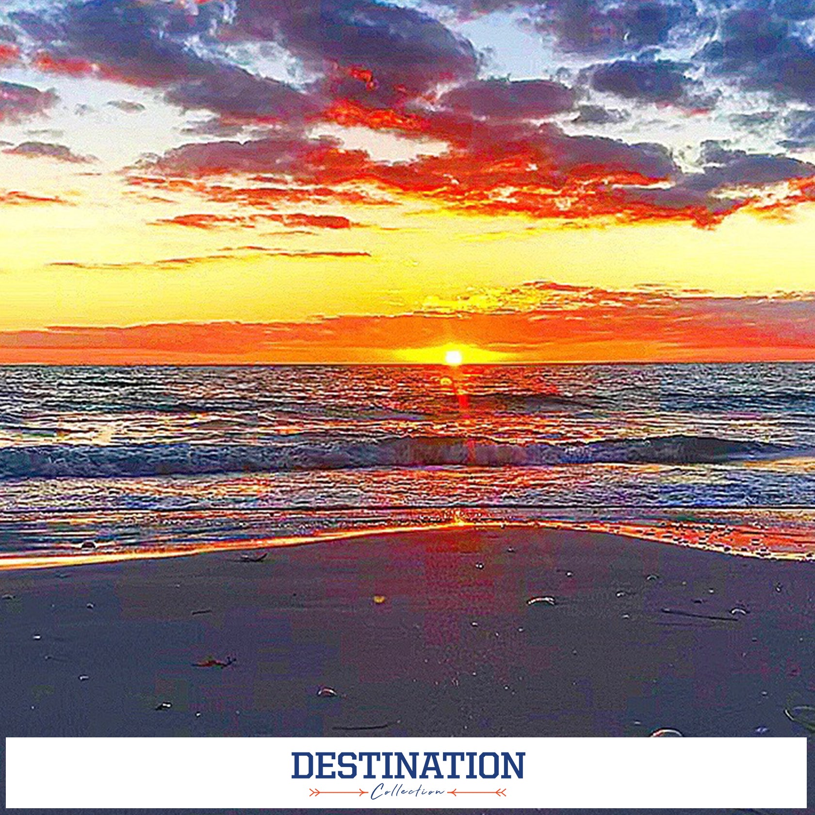 FLORIDA GATORS - DESTINATION