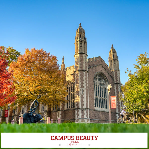 WashU Fall Collection College Wall Art