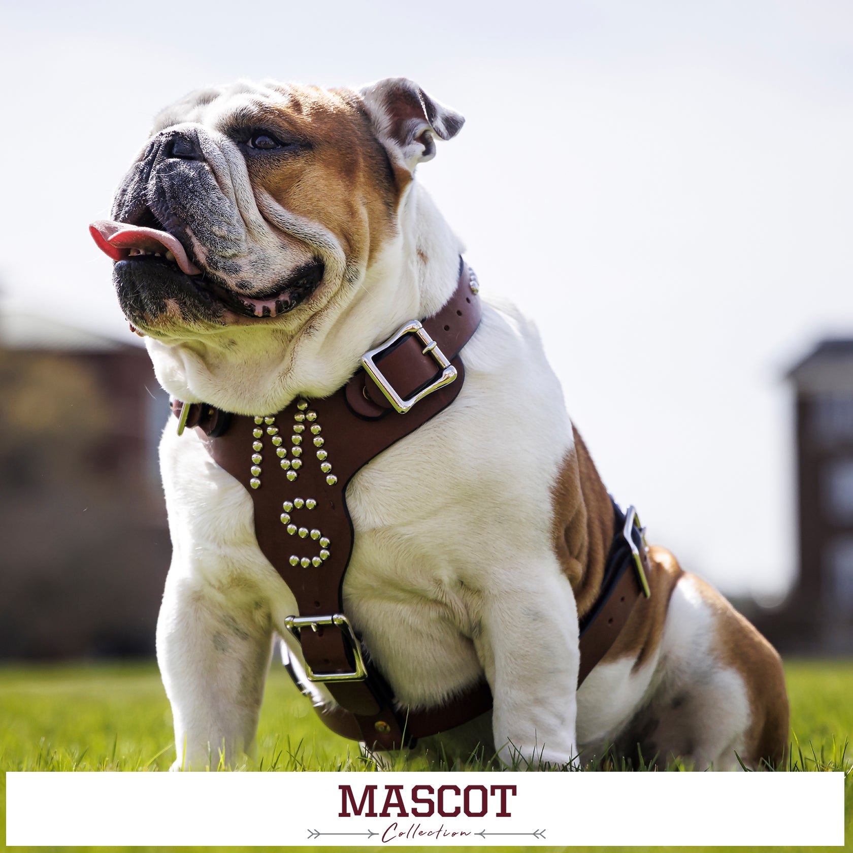 Mississippi State Bulldogs - MASCOT