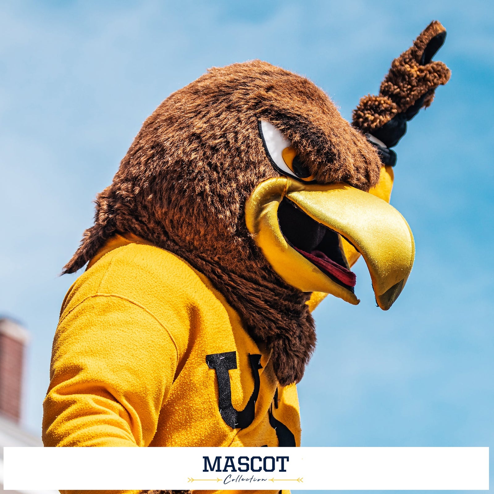 Southern Miss Golden Eagles - Mascot Collection