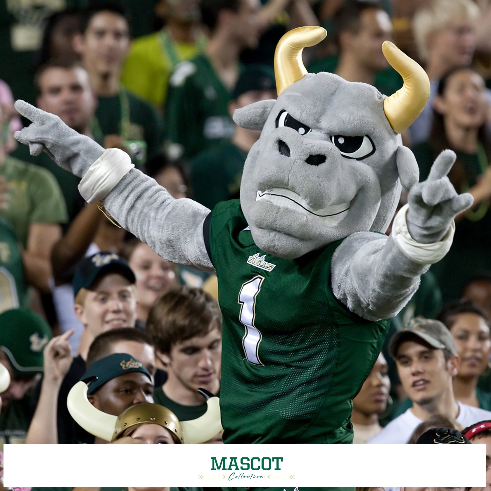 South Florida Bulls - Mascot