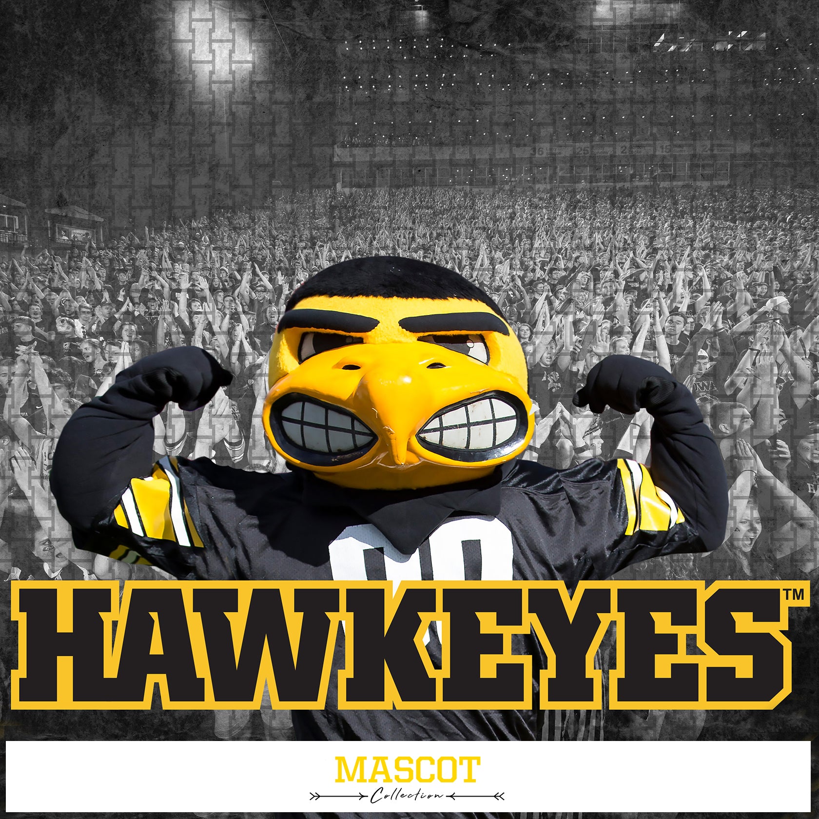 Iowa Hawkeyes - Mascot
