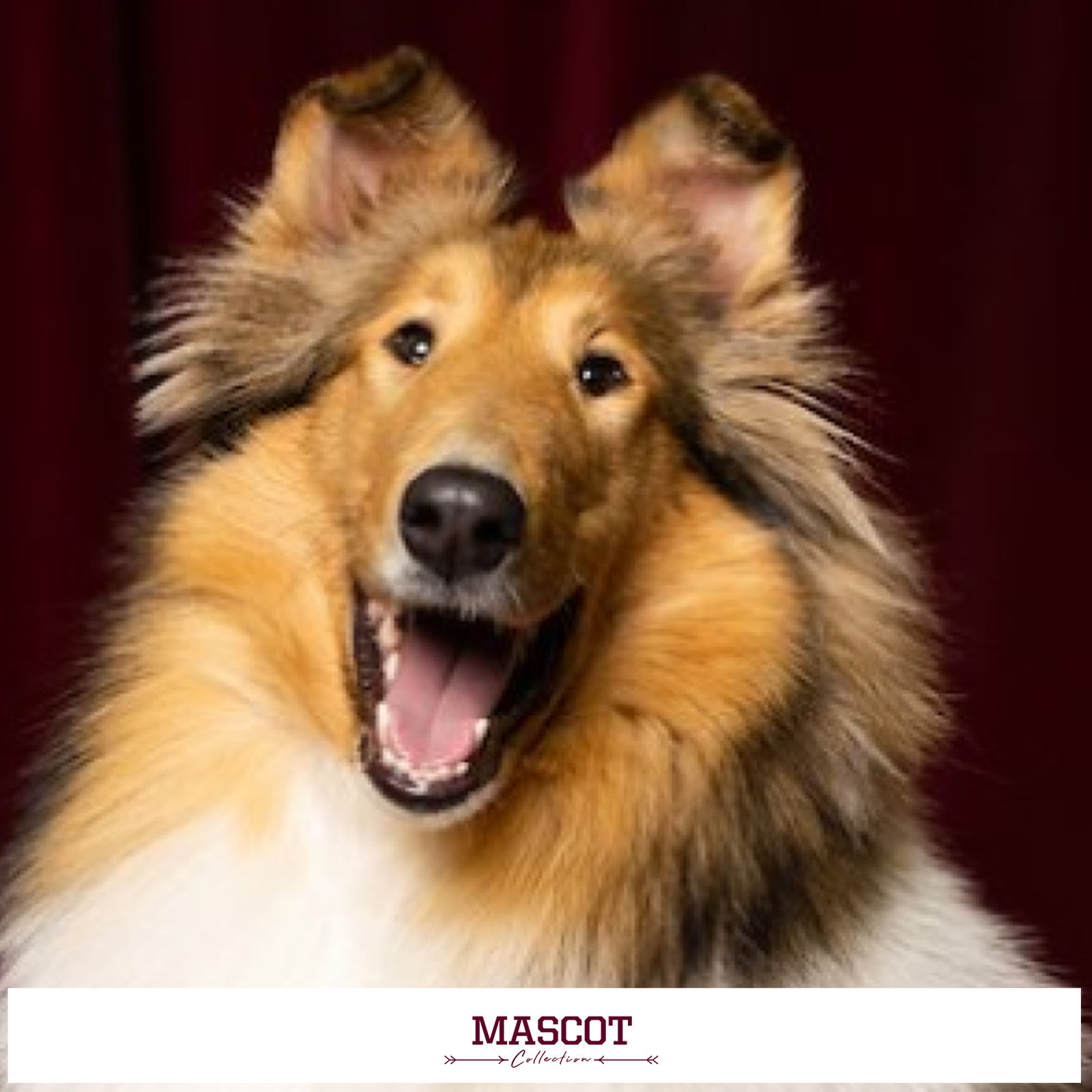 TEXAS A&M AGGIES - MASCOT