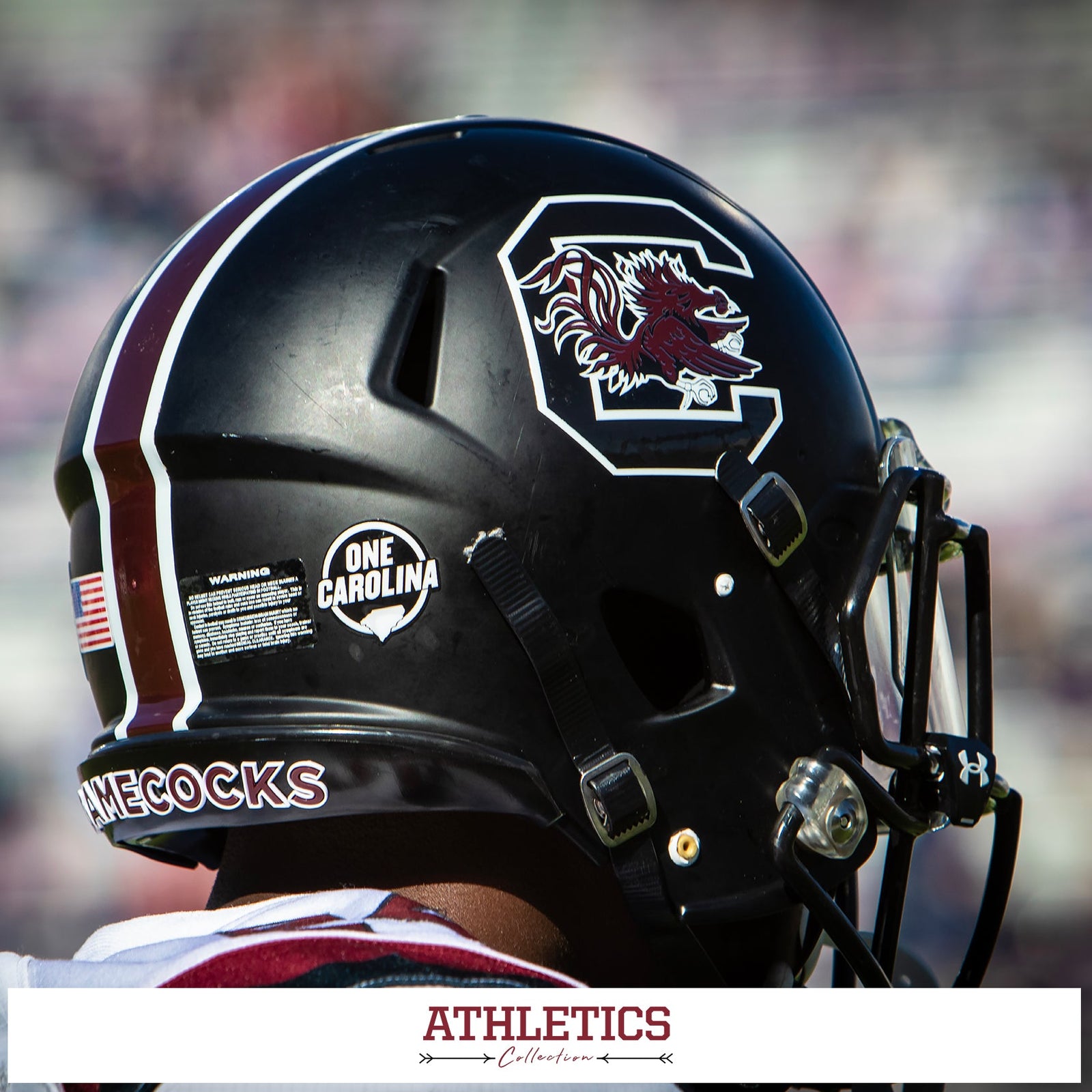 South Carolina Gamecocks - Athletics