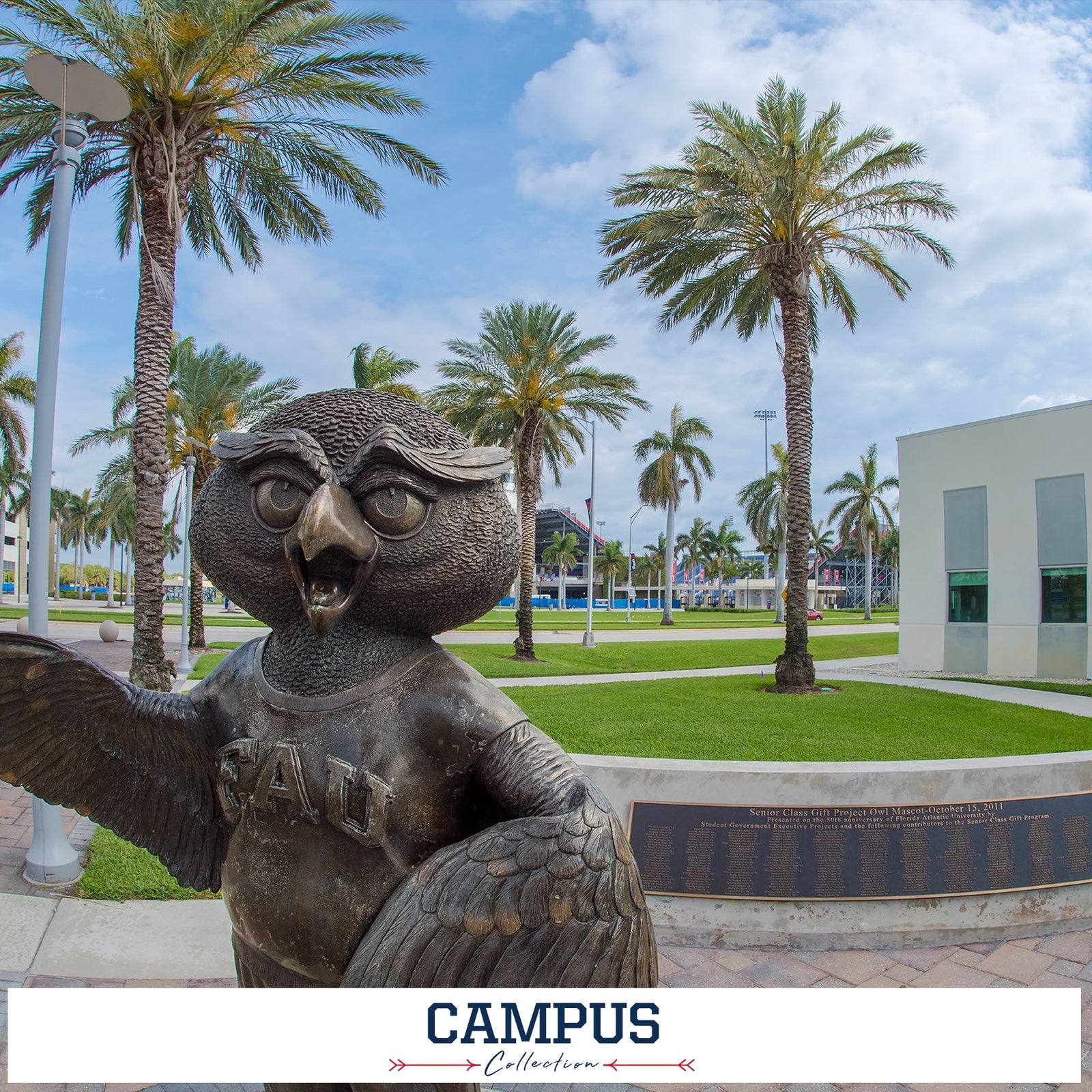 Florida Atlantic Owls - Campus  Collection