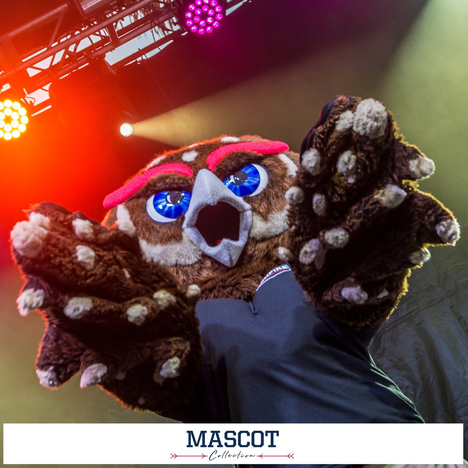 Florida Atlantic Owls - Mascot Collection