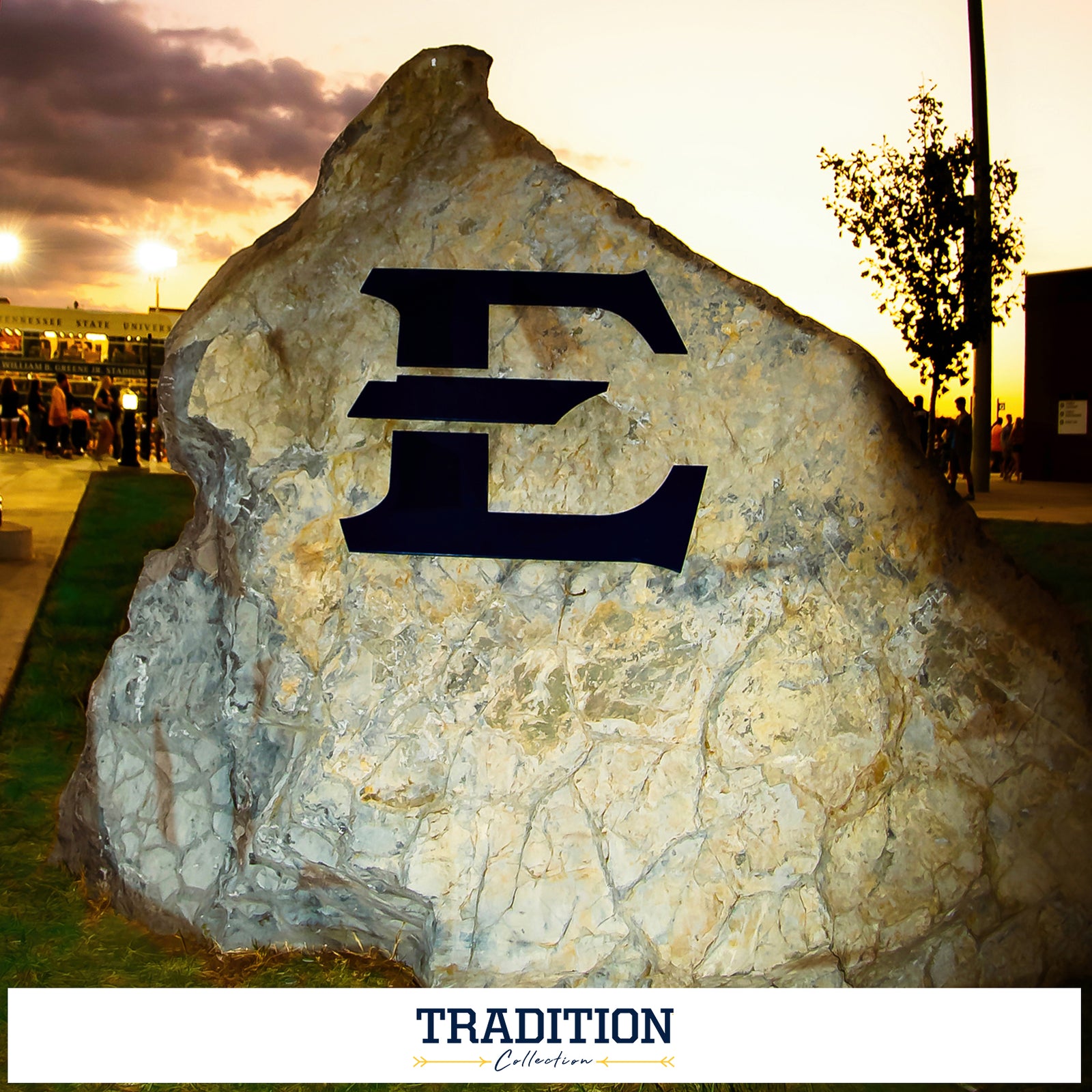 ETSU Buccaneers Color Block Distressed Poster