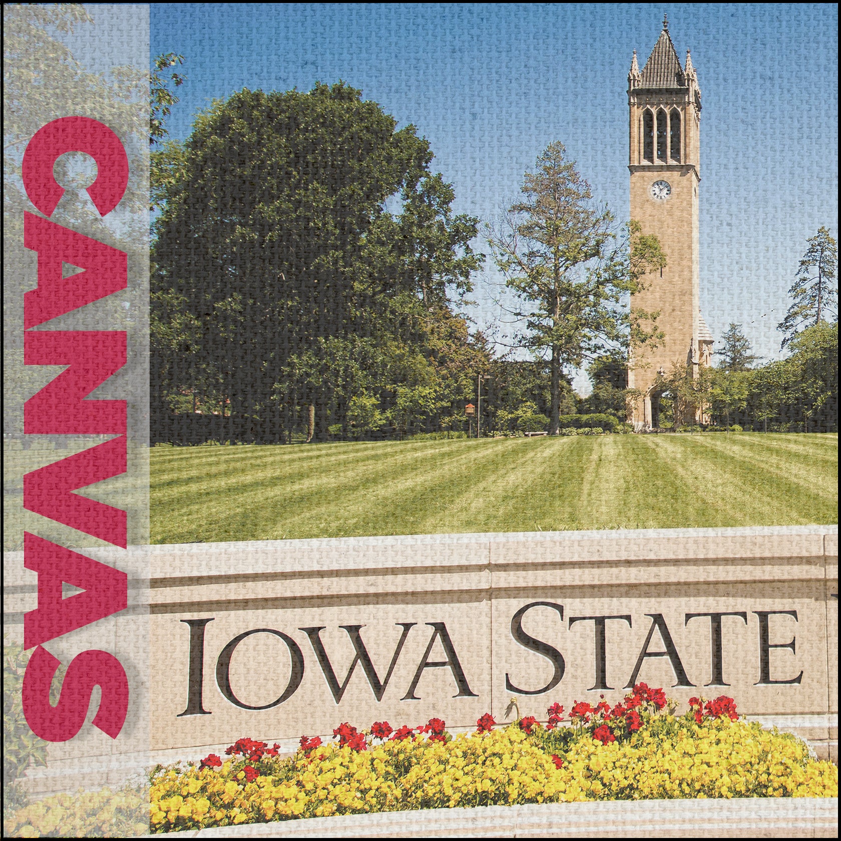 Iowa State Cyclones - Canvas