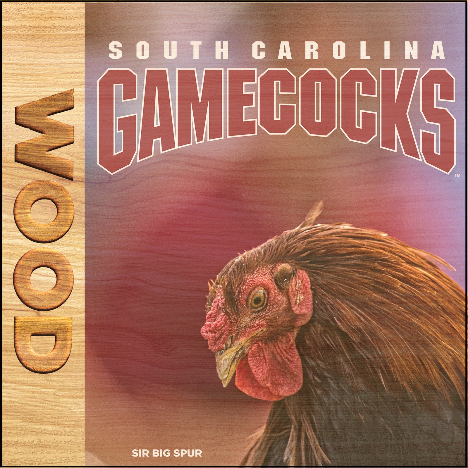 South Carolina Gamecocks-South Carolina Dad Bag Tag-College Wall Art