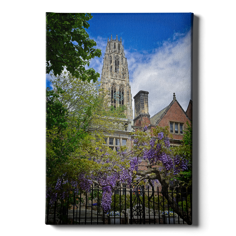 Yale Bulldogs - Canvas