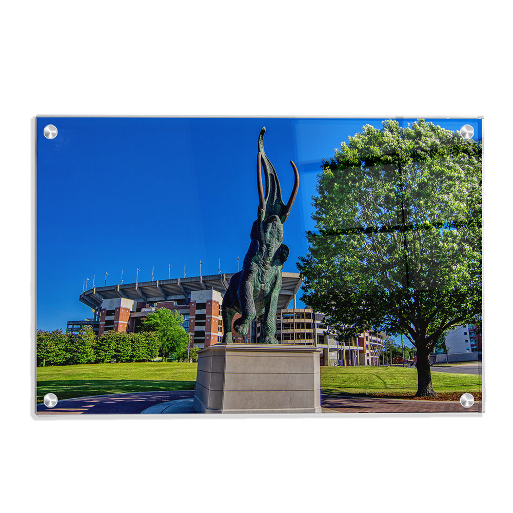 Alabama Crimson Tide - Tuska Bryant-Denny - College Wall Art #Canvas