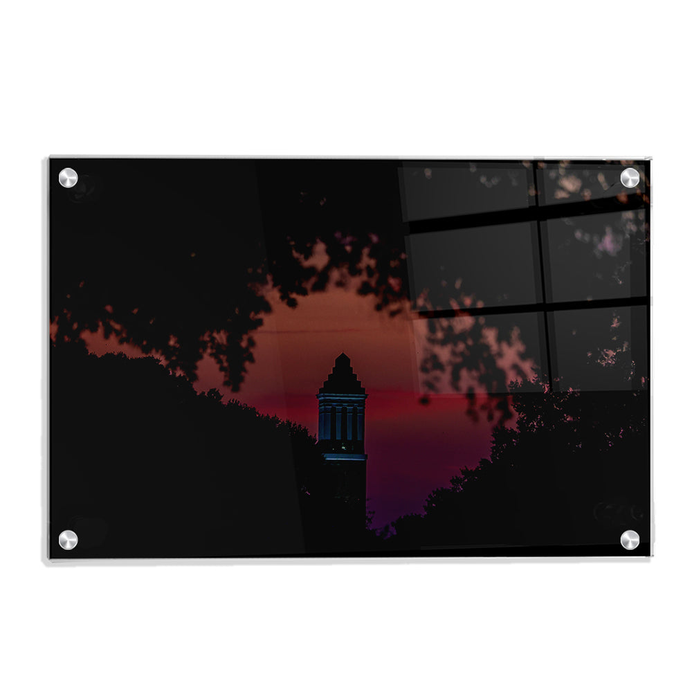 Alabama Crimson Tide - Crimson Denny Chimes - College Wall Art #Canvas