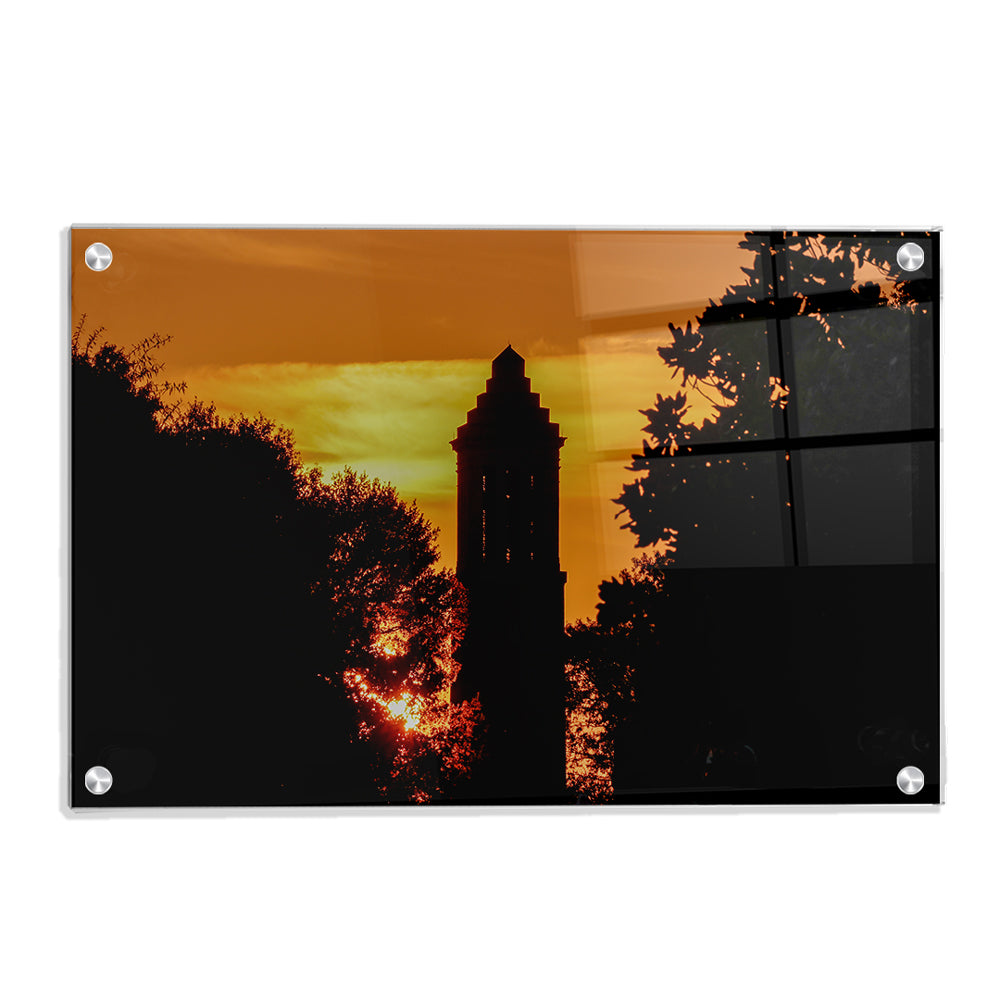 Alabama Crimson Tide - Denny Chimes Blaze - College Wall Art #Canvas