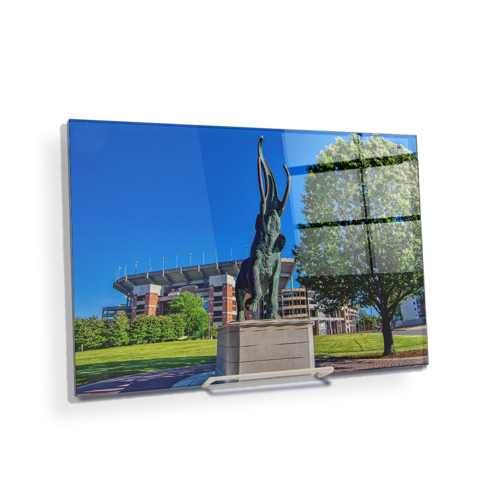 Alabama Crimson Tide - Tuska Bryant-Denny - College Wall Art #Canvas