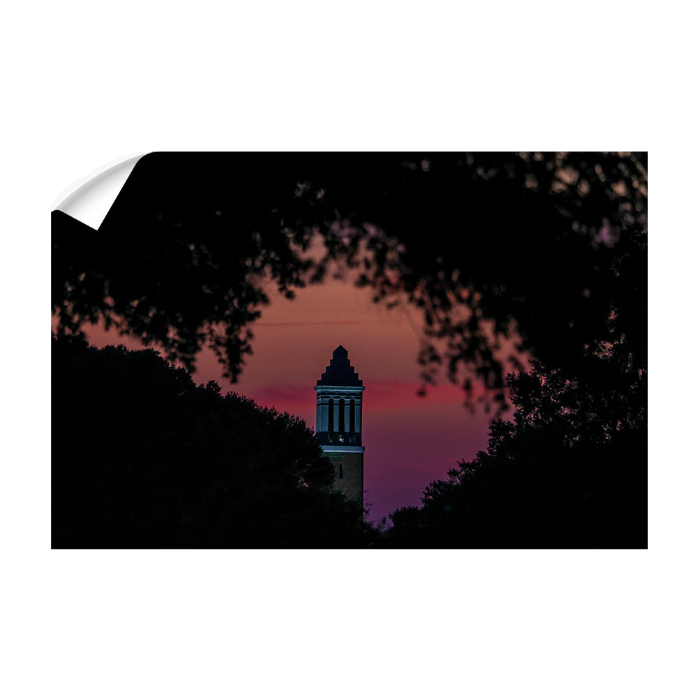 Alabama Crimson Tide - Crimson Denny Chimes - College Wall Art #Canvas