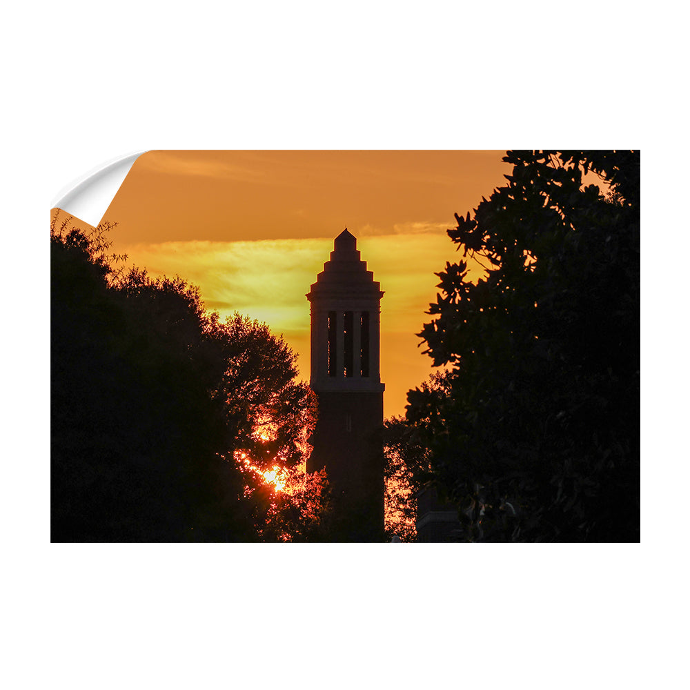 Alabama Crimson Tide - Denny Chimes Blaze - College Wall Art #Canvas