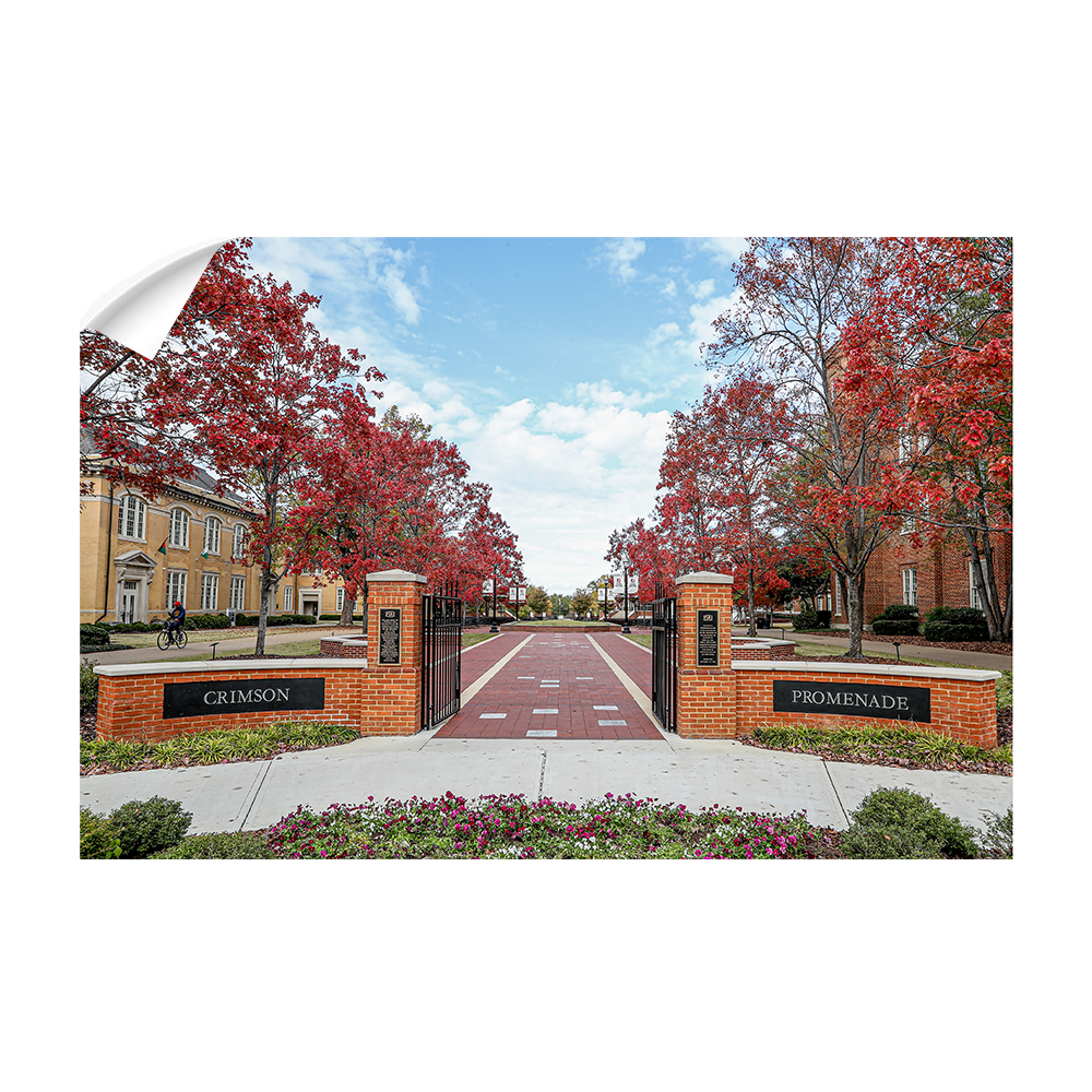 Alabama Crimson Tide - Crimson Promenade - College Wall Art #Canvas