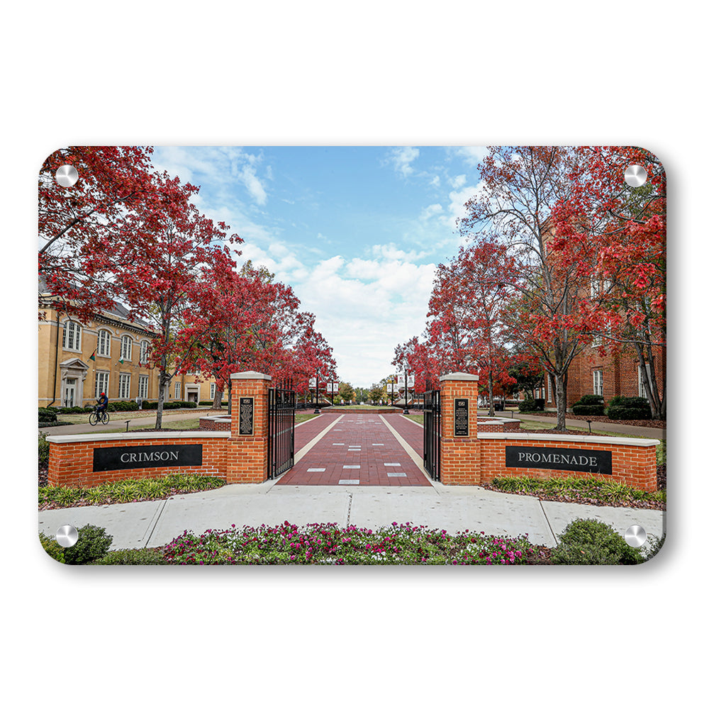 Alabama Crimson Tide - Crimson Promenade - College Wall Art #Canvas