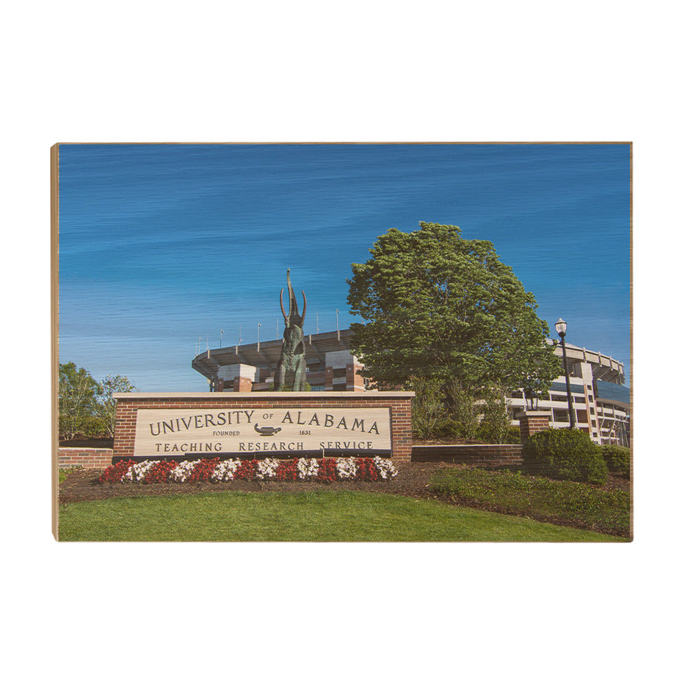 Alabama Crimson Tide - University of Alabama Teaching-Research-Service - College Wall Art #Canvas
