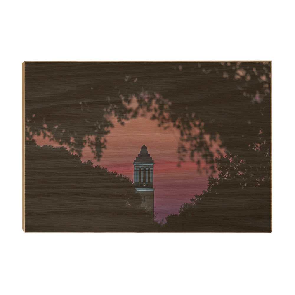 Alabama Crimson Tide - Crimson Denny Chimes - College Wall Art #Canvas