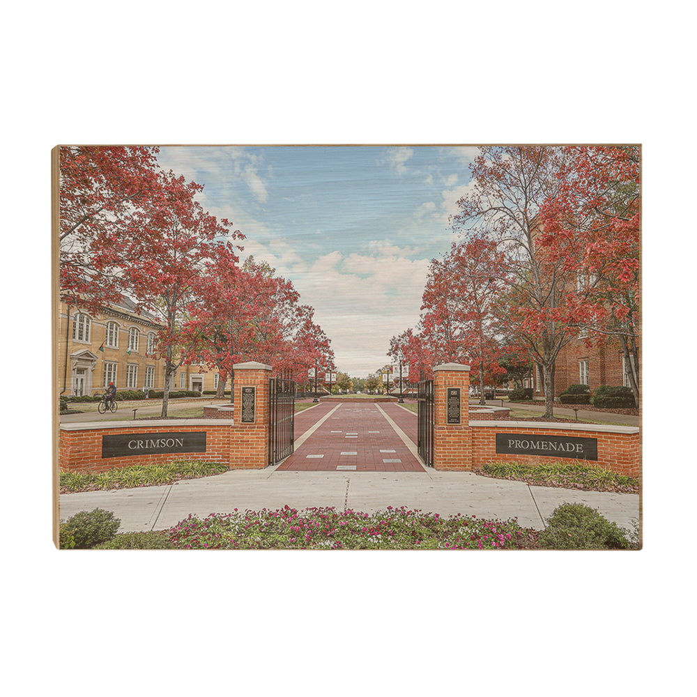 Alabama Crimson Tide - Crimson Promenade - College Wall Art #Canvas