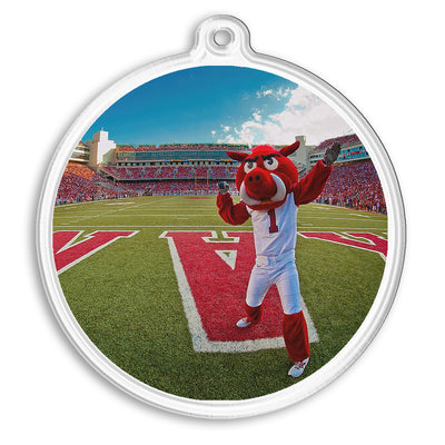 Arkansas Razorbacks - Big Red End Zone Ornament & Bag Tag