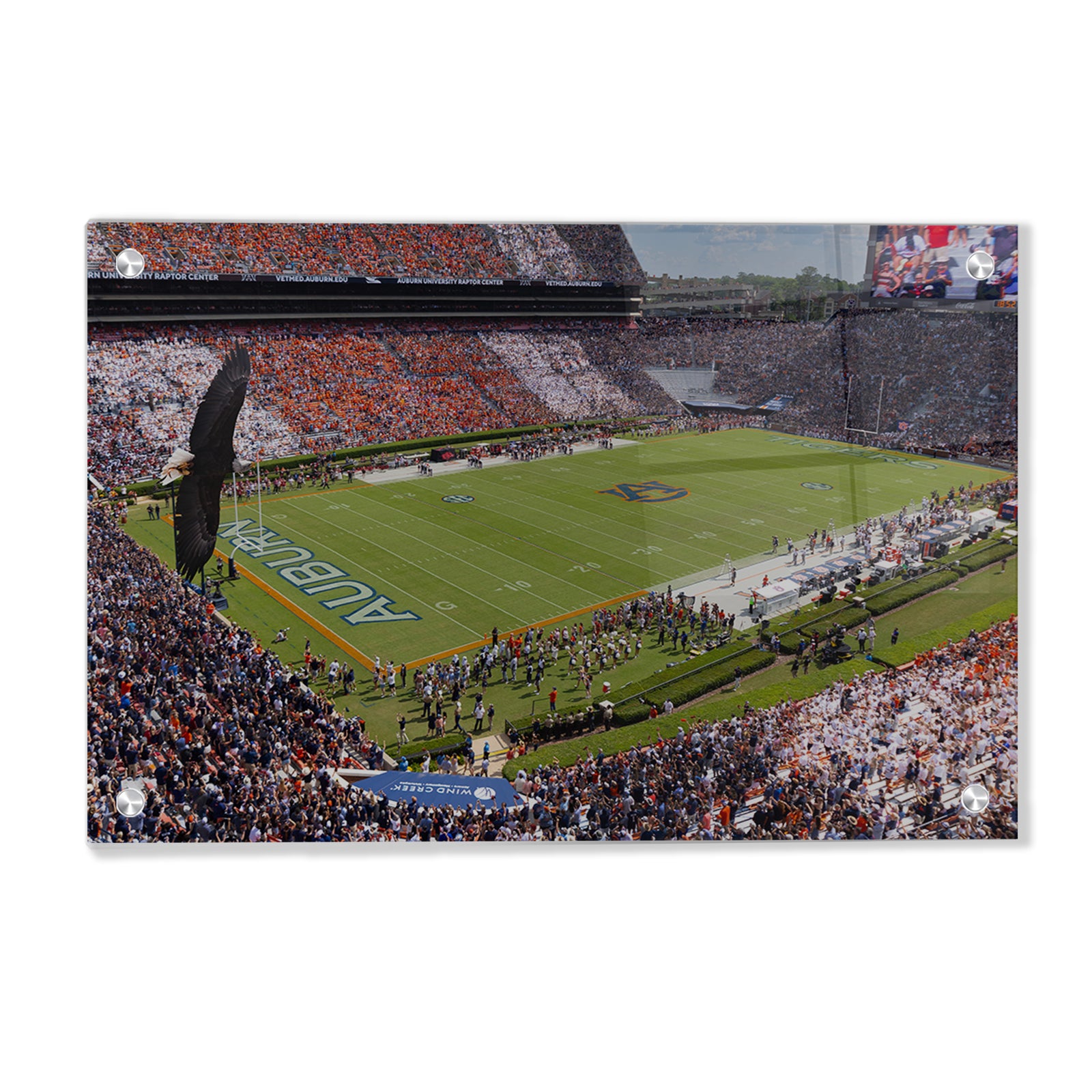 Auburn Tigers - War Eagle Flight - College Wall Art #Canvas