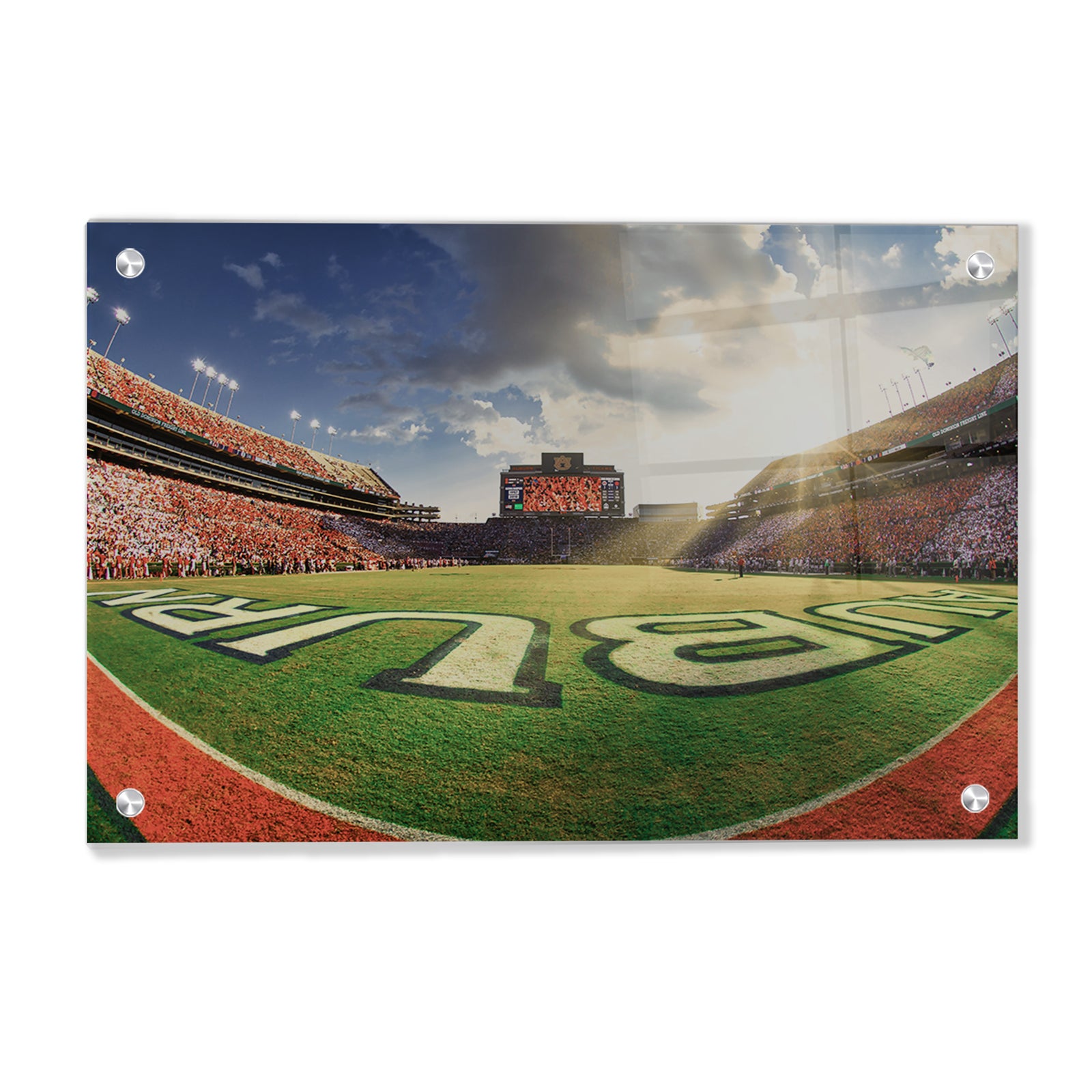 Auburn Tigers - Fisheye End Zone - College Wall Art #Canvas 