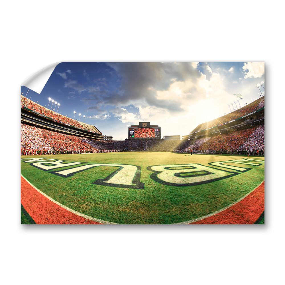 Auburn Tigers - Fisheye End Zone - College Wall Art #Canvas 