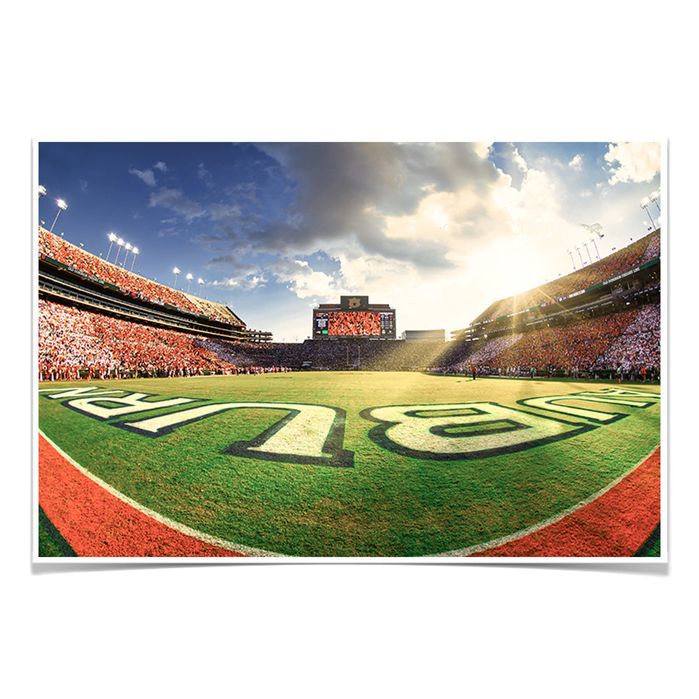 Auburn Tigers - Fisheye End Zone - College Wall Art #Canvas 
