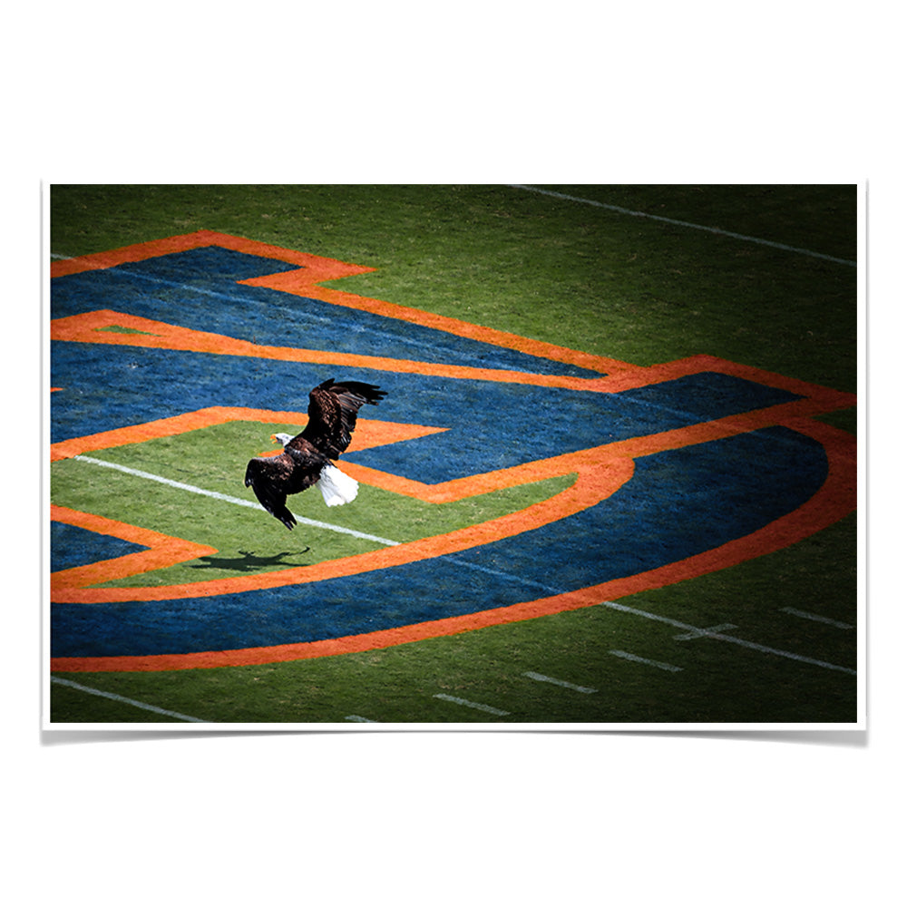 Auburn Tigers - War Eagle - College Wall Art #Canvas 